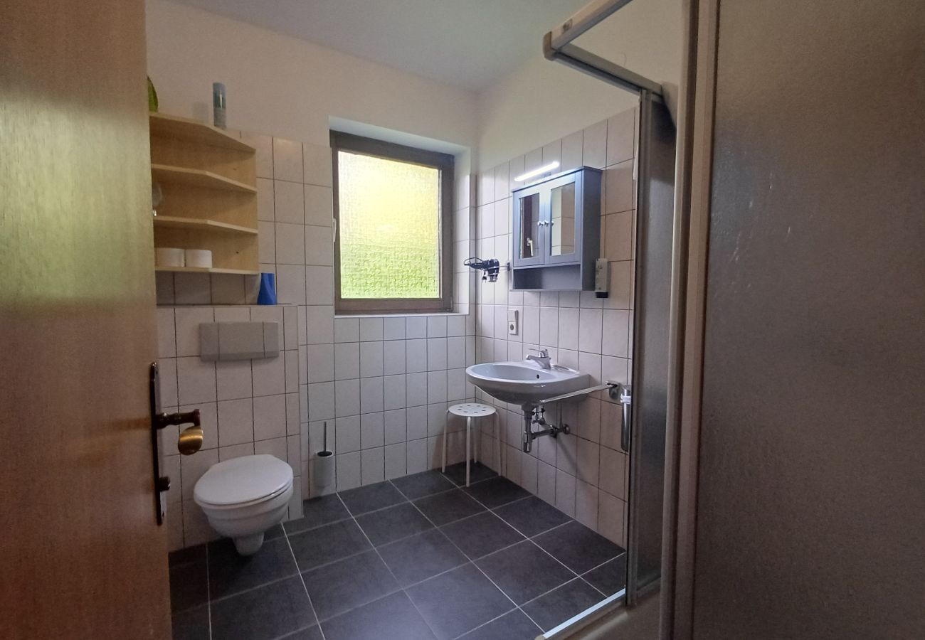 Ferienwohnung in Uttendorf - Profelt Apartment B, für 4,zentrale Lage, große Te