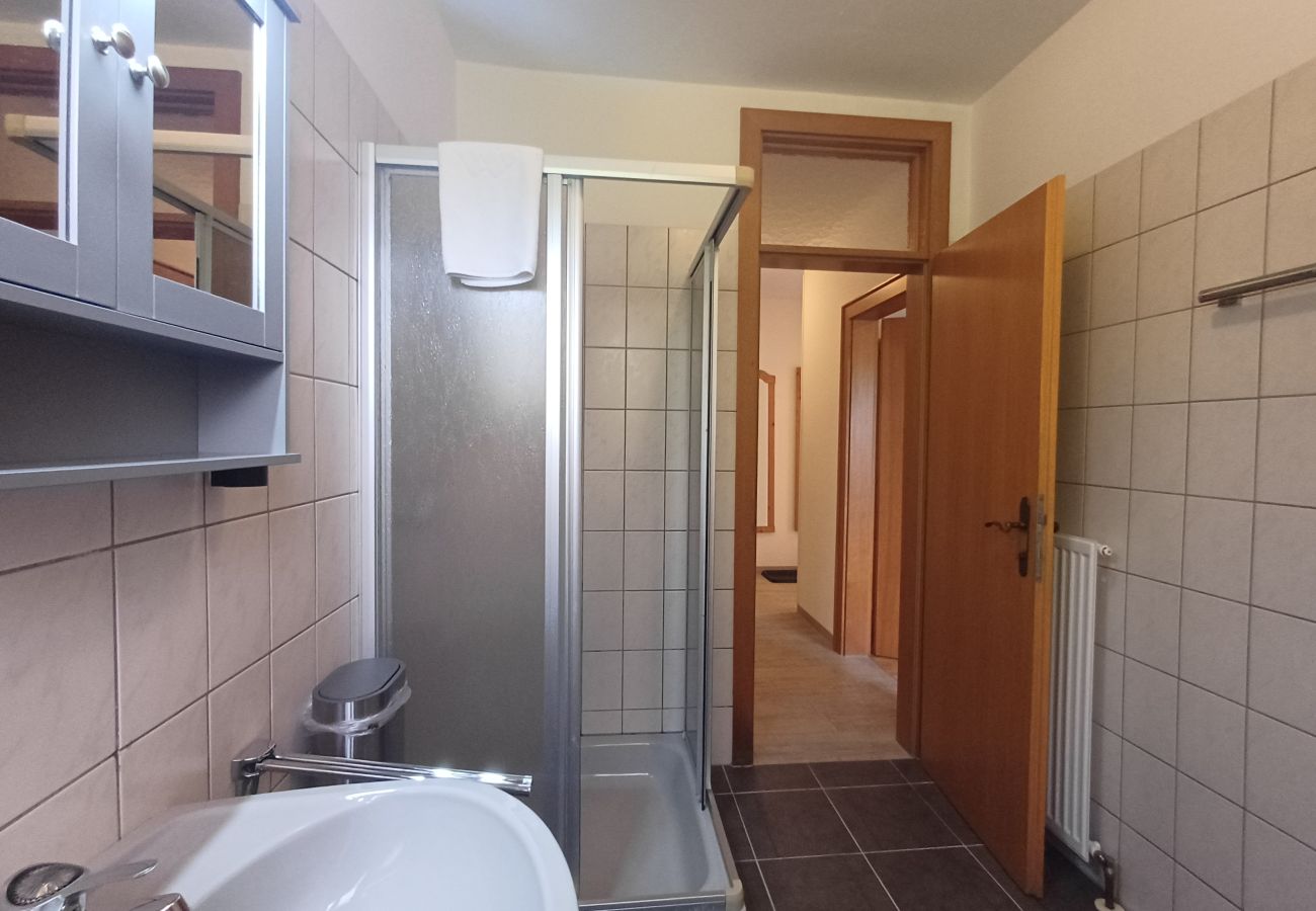 Ferienwohnung in Uttendorf - Profelt Apartment B, für 4,zentrale Lage, große Te