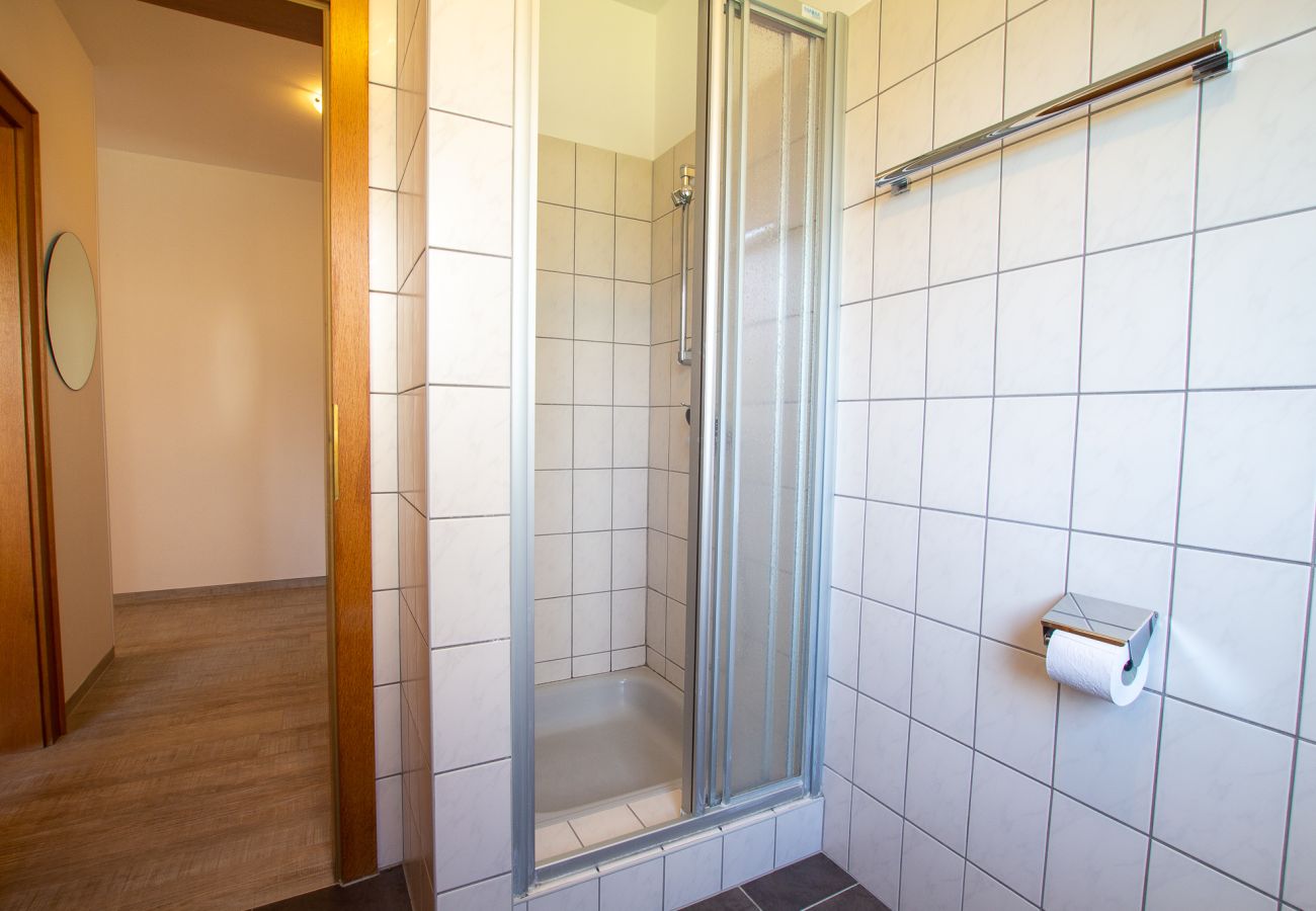 Ferienwohnung in Uttendorf - Profelt Apartment C, für 2,zentrale Lage, große Te