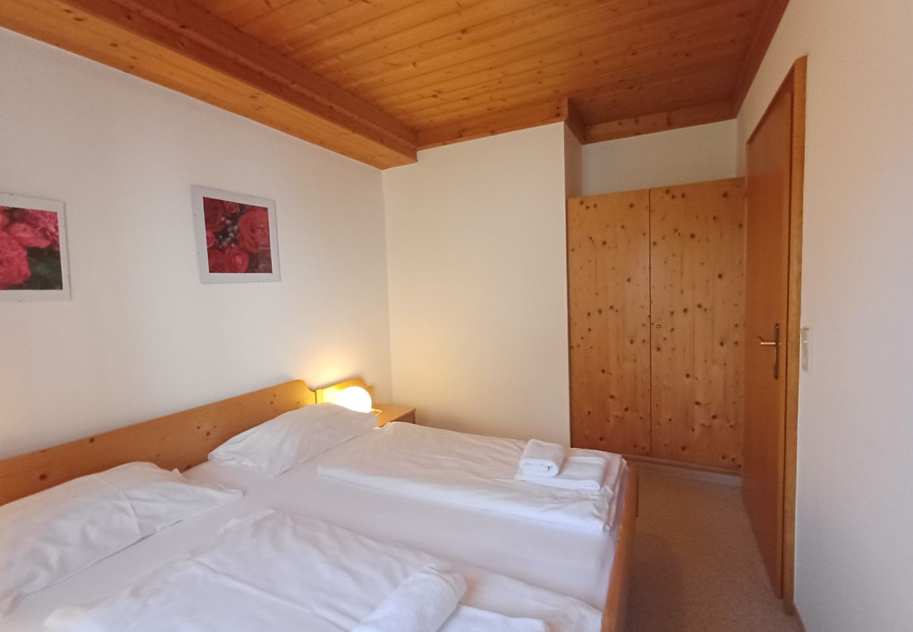 Ferienwohnung in Uttendorf - Profelt Apartment C, für 2,zentrale Lage, große Te