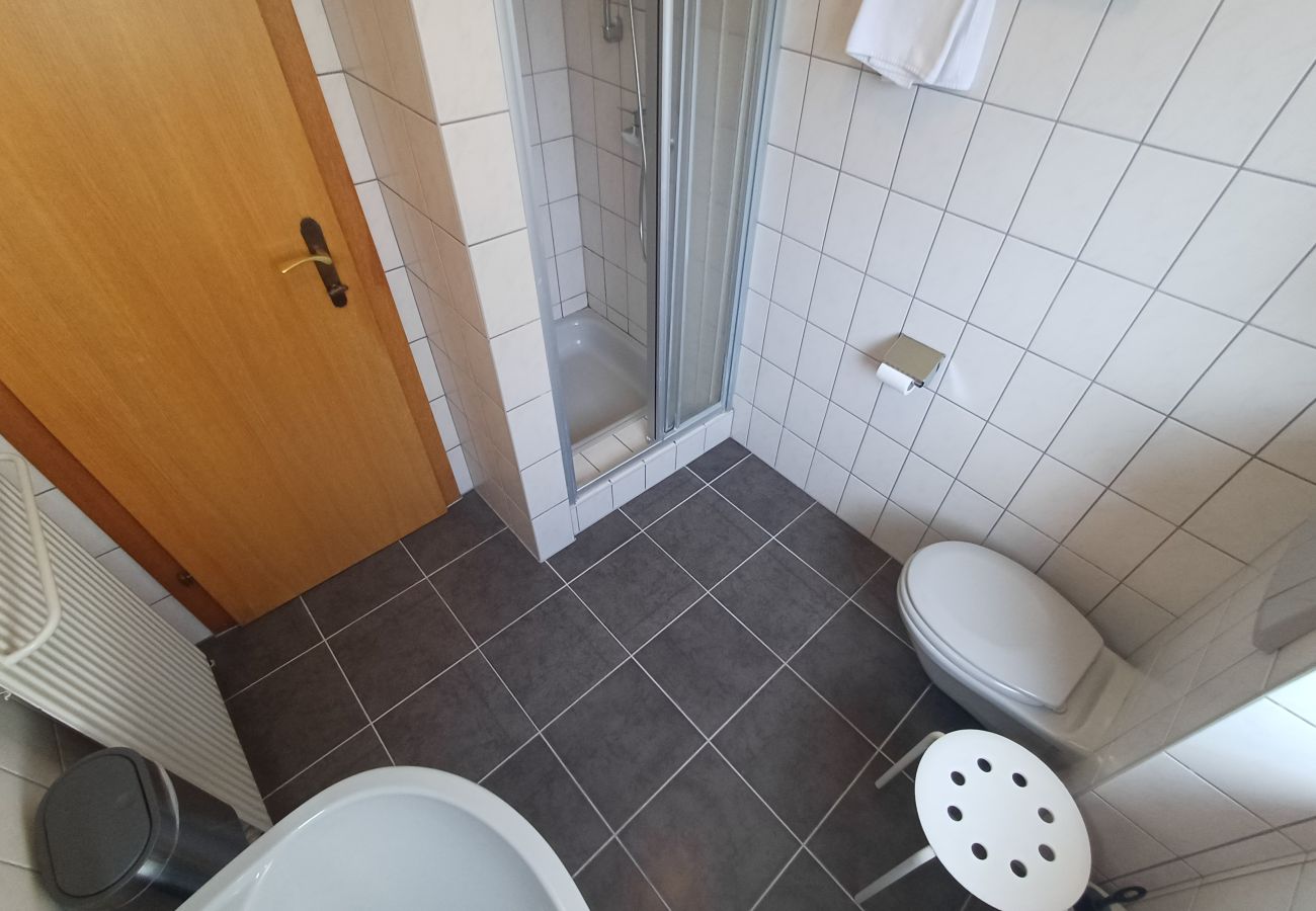 Ferienwohnung in Uttendorf - Profelt Apartment C, für 2,zentrale Lage, große Te