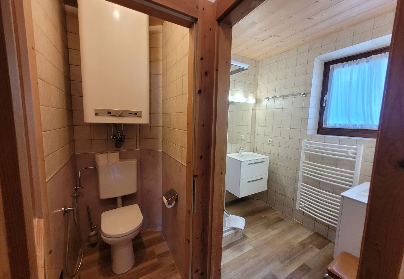 Ferienwohnung in Zell am See - Waterfront Apartment 1