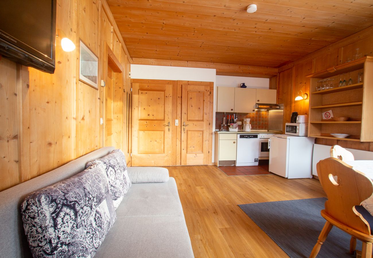 Ferienwohnung in Zell am See - Waterfront Apartment 1