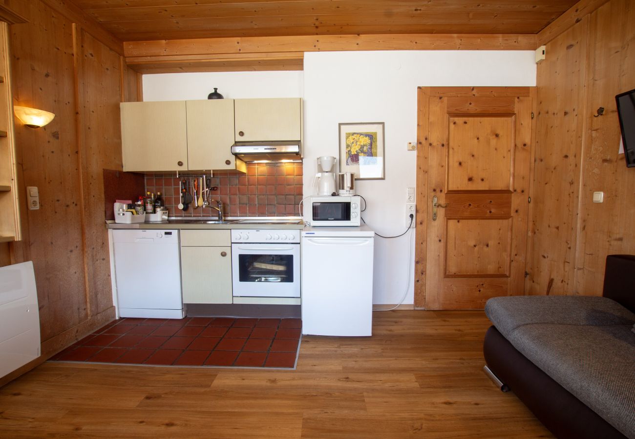 Studio in Zell am See - Waterfront Apartment 2