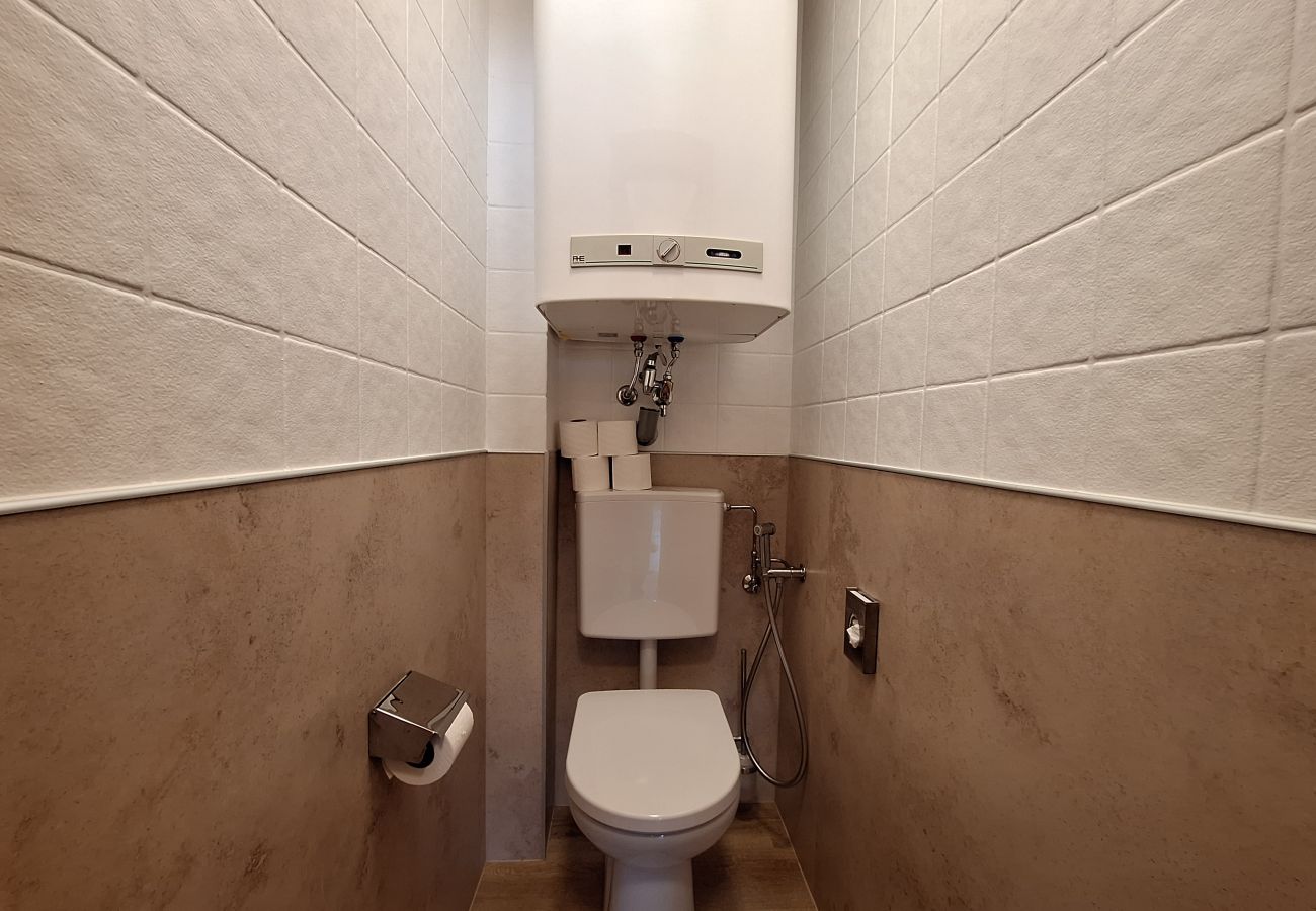 Studio in Zell am See - Waterfront Apartment 2