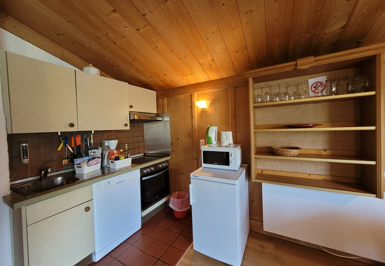 Ferienwohnung in Zell am See - Waterfront Apartment 3