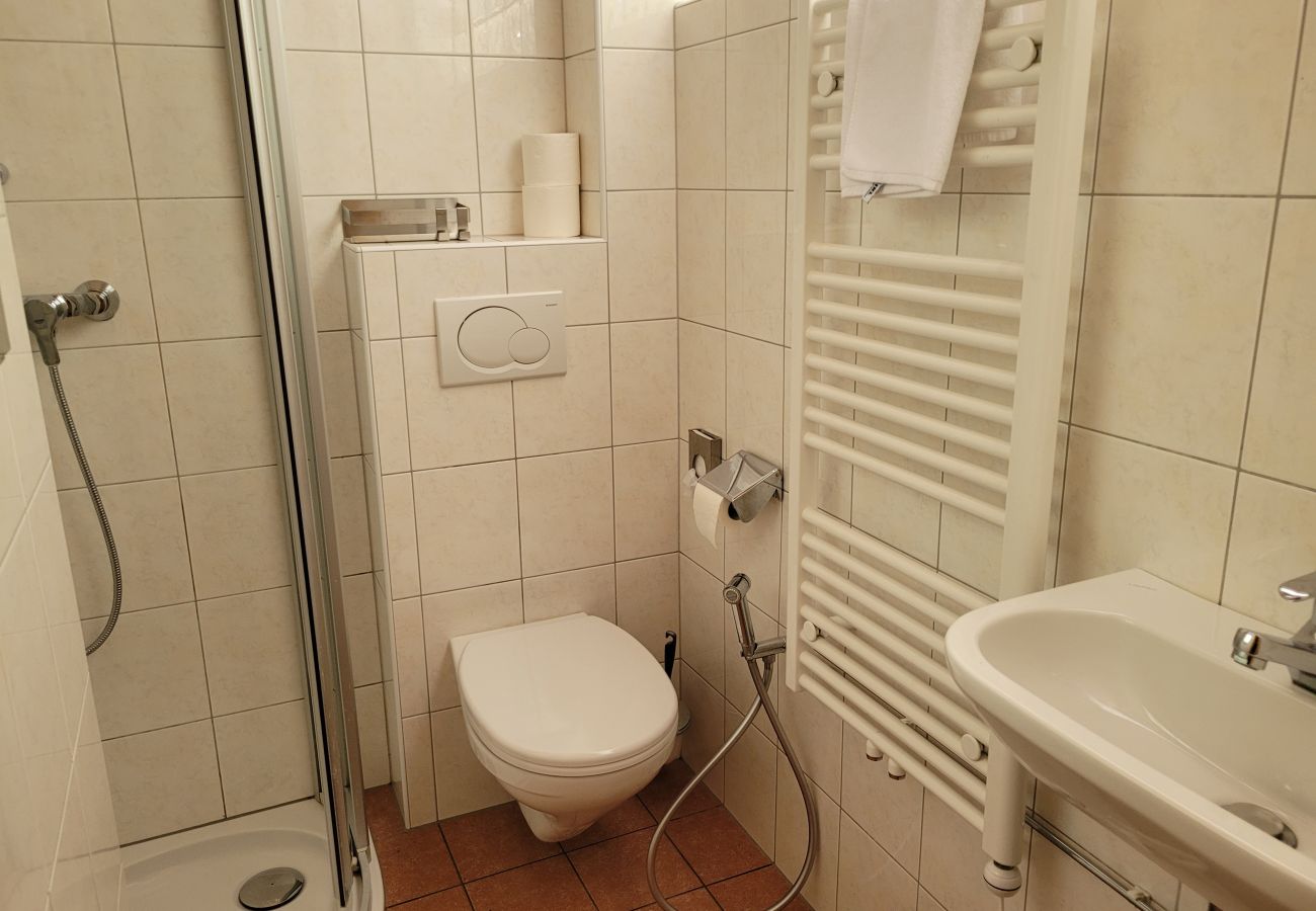 Ferienwohnung in Zell am See - Waterfront Apartment 4