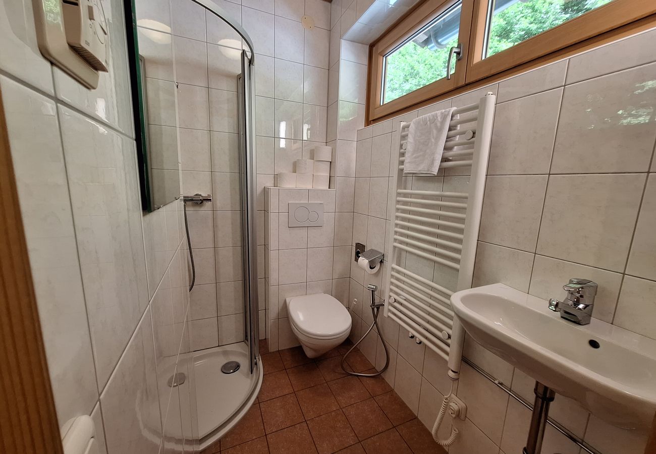 Ferienwohnung in Zell am See - Waterfront Apartment 4