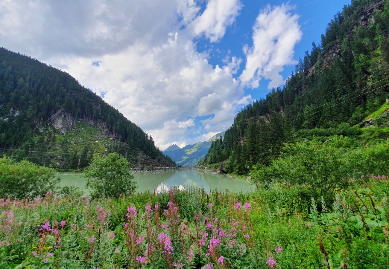 Chalet in Uttendorf - Lodge Weißsee 160 im Tauerndorf Enzingerboden