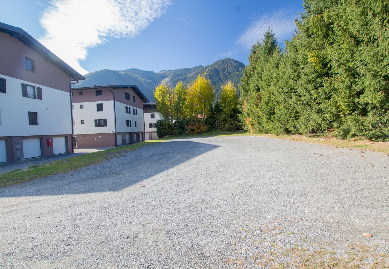 Ferienwohnung in Maishofen - Apartment Barbara Top 2 in Maishofen nähe Saalbach