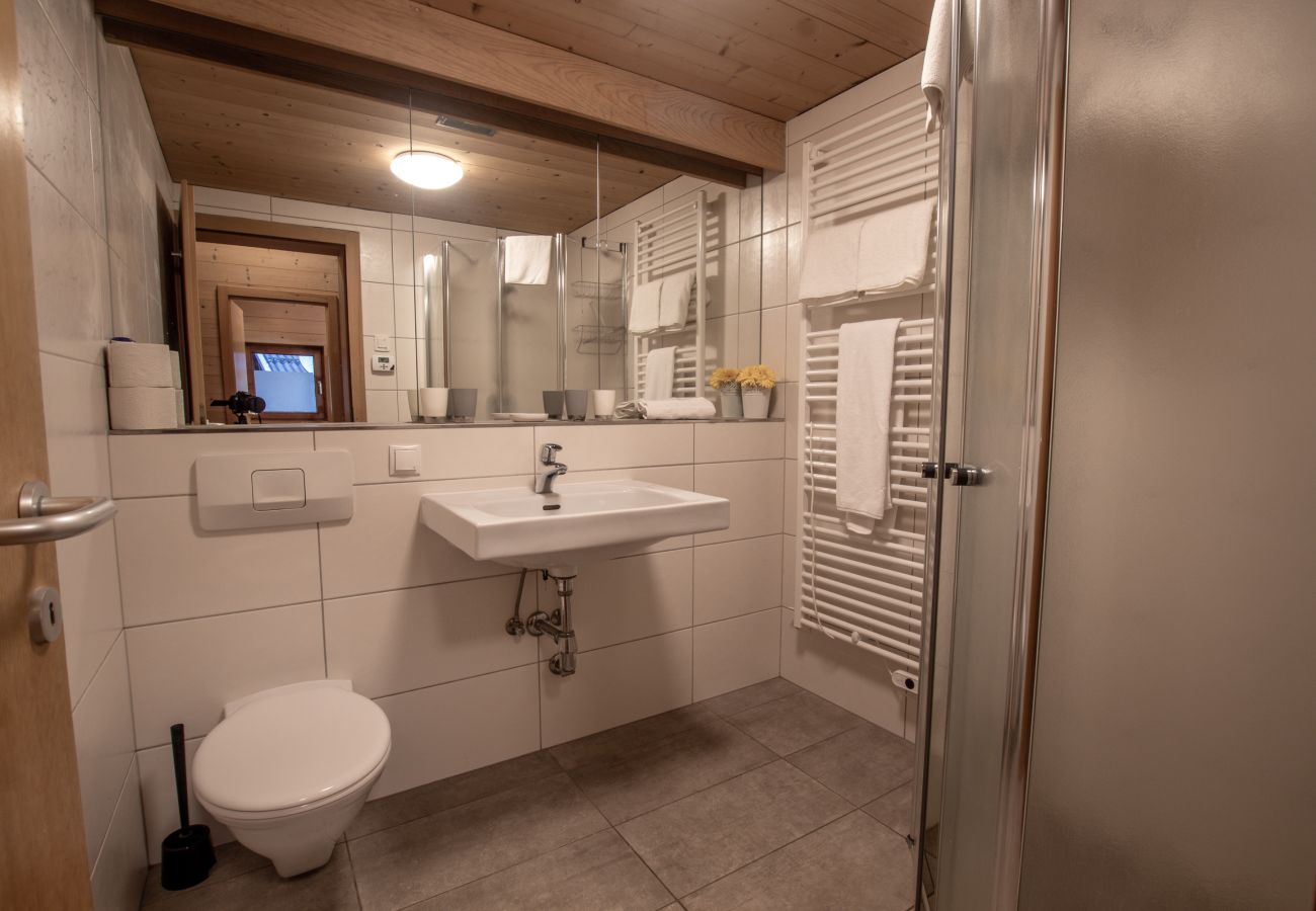 Ferienwohnung in Zell am See - Lake and Mountain View