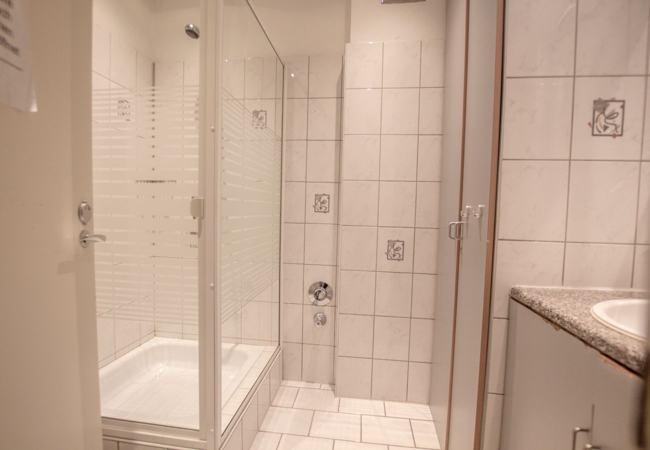 Ferienwohnung in Uttendorf - Apartment Paletti 23
