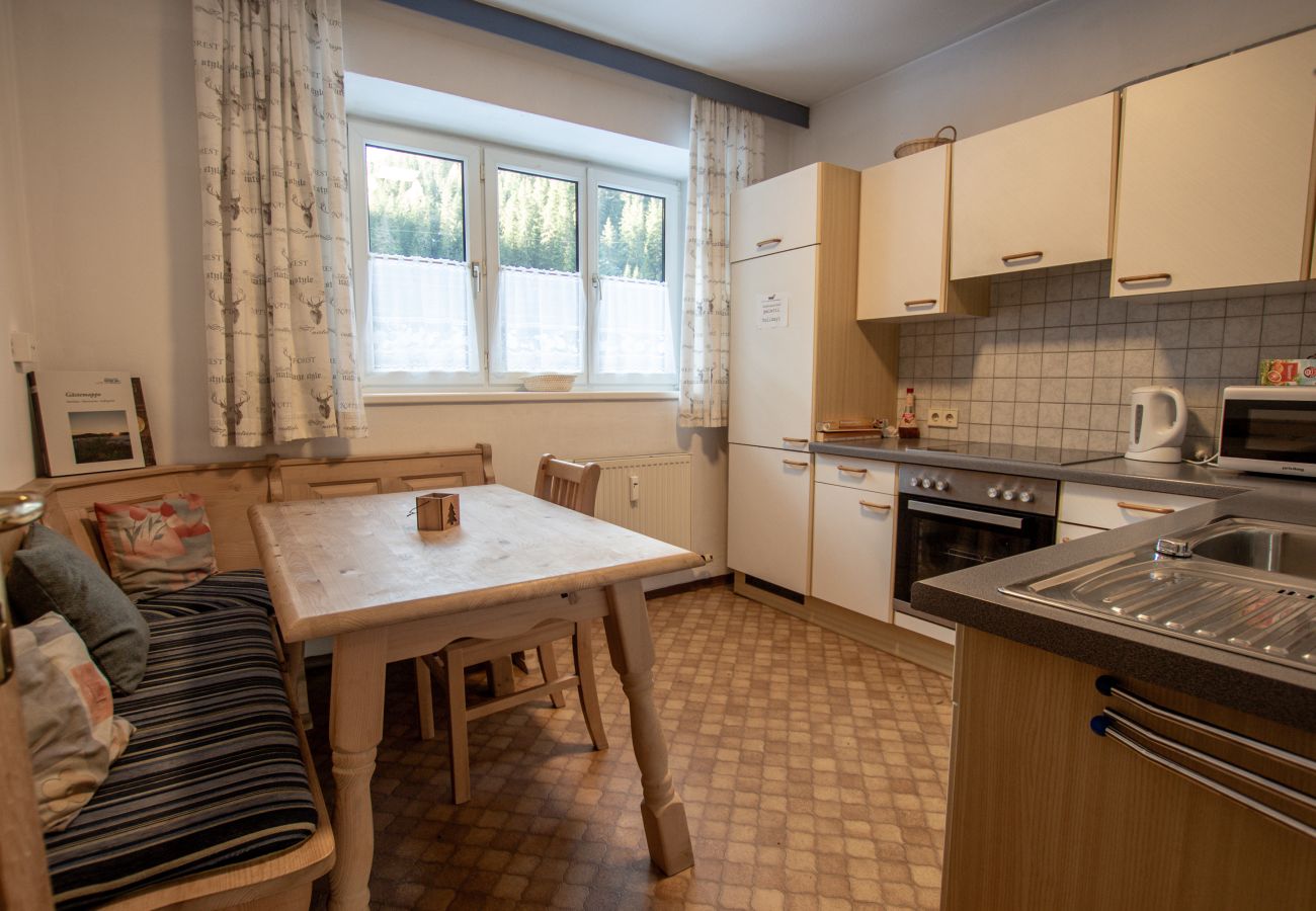 Ferienwohnung in Uttendorf - Apartment Paletti 24