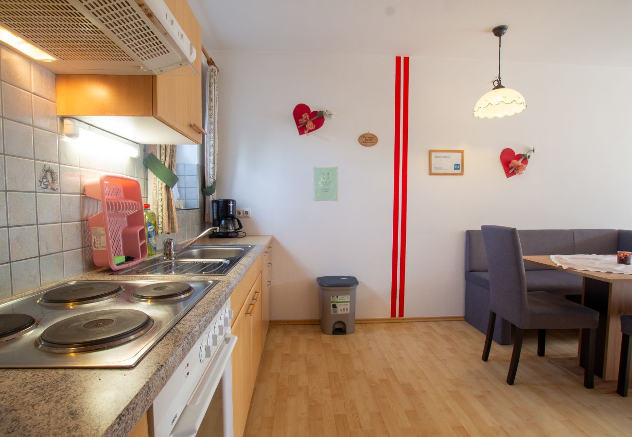 Ferienwohnung in Uttendorf - Apartment Renn in Uttendorf