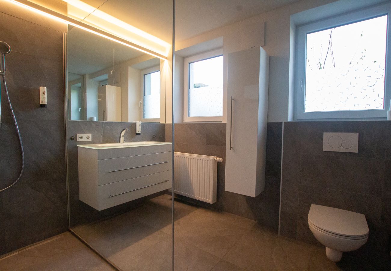 Ferienwohnung in Zell am See - Panorama App 1A Zell am See