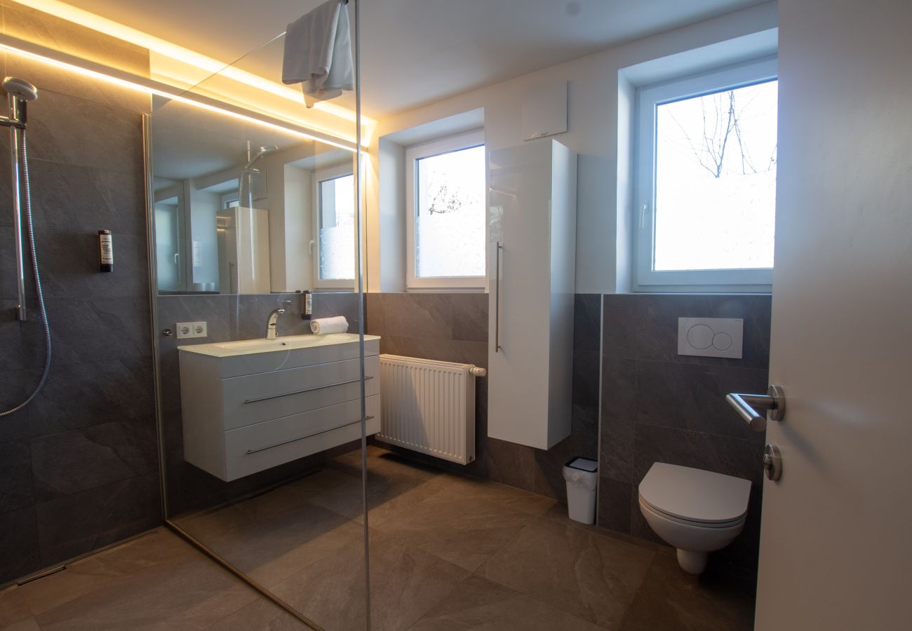 Ferienwohnung in Zell am See - Panorama App 1A Zell am See