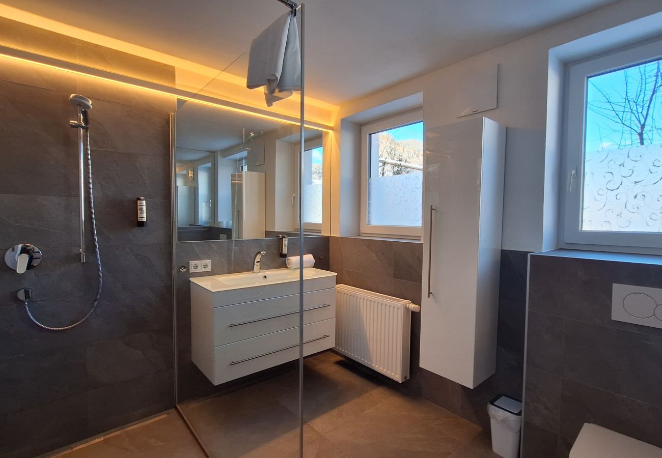 Ferienwohnung in Zell am See - Panorama App 1A Zell am See