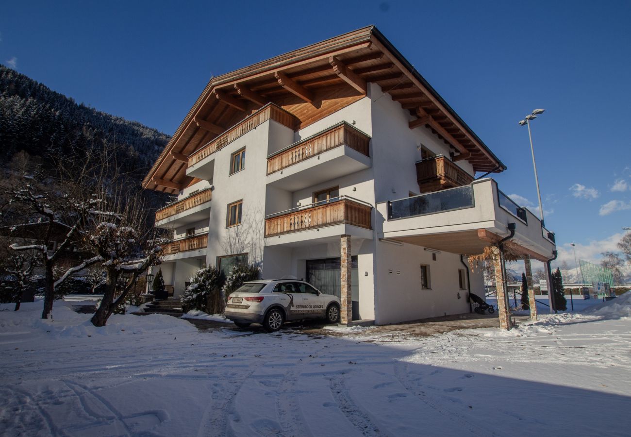 Ferienwohnung in Zell am See - Panorama App 1A Zell am See