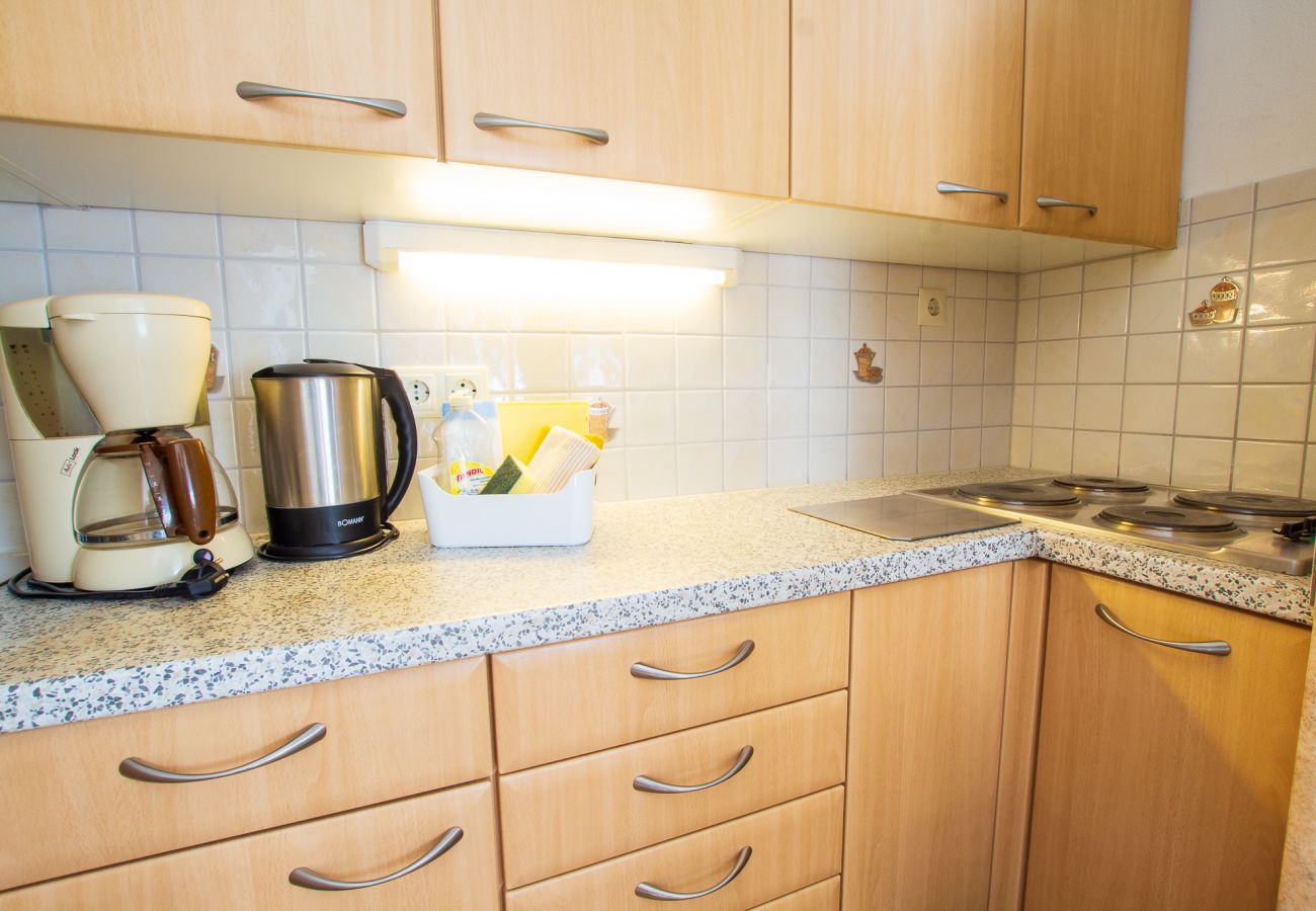 Ferienwohnung in Kaprun - Apartment Inge - downtown Kaprun