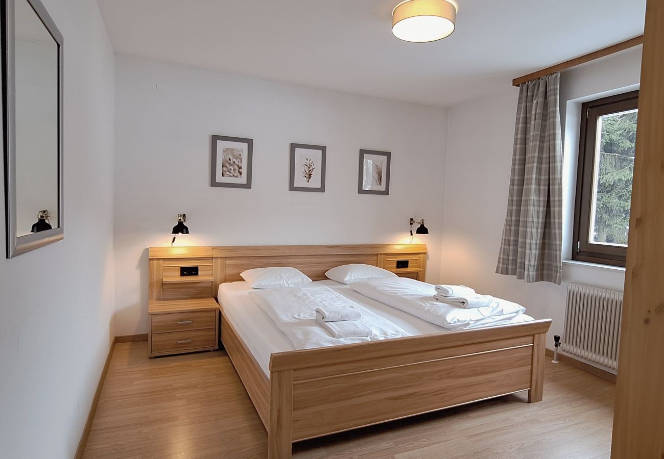 Ferienwohnung in Kaprun - Apartment Inge - downtown Kaprun