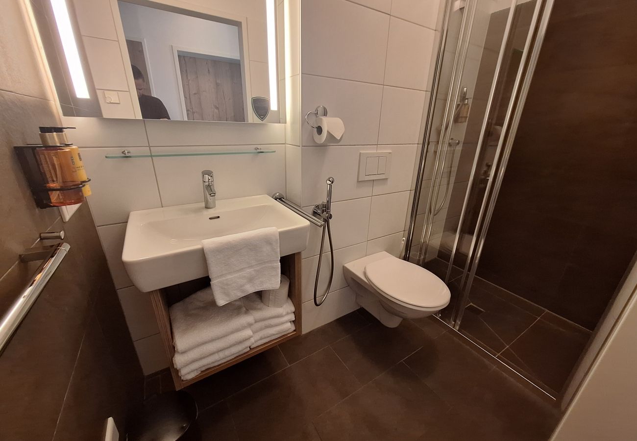 Ferienwohnung in Zell am See - Ski & Golf Apartments 6B
